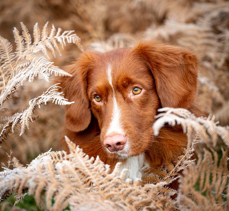 Staying in the Picture